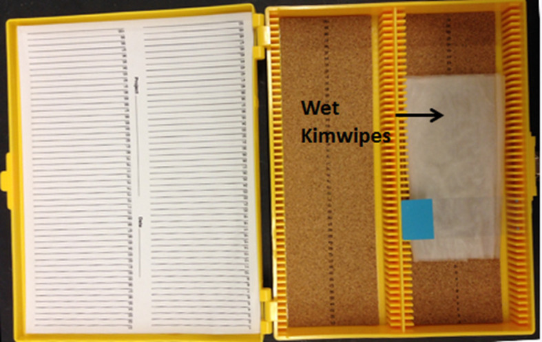 Figure 6.