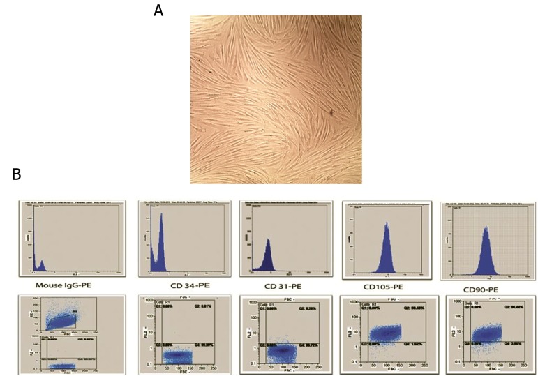 Fig.1