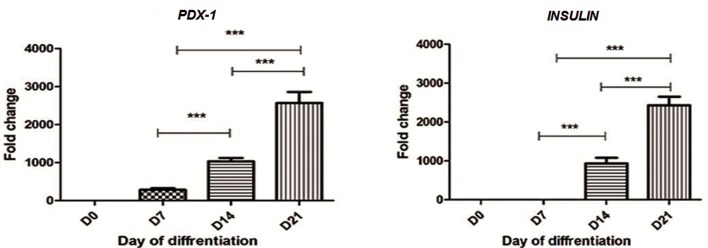 Fig.6