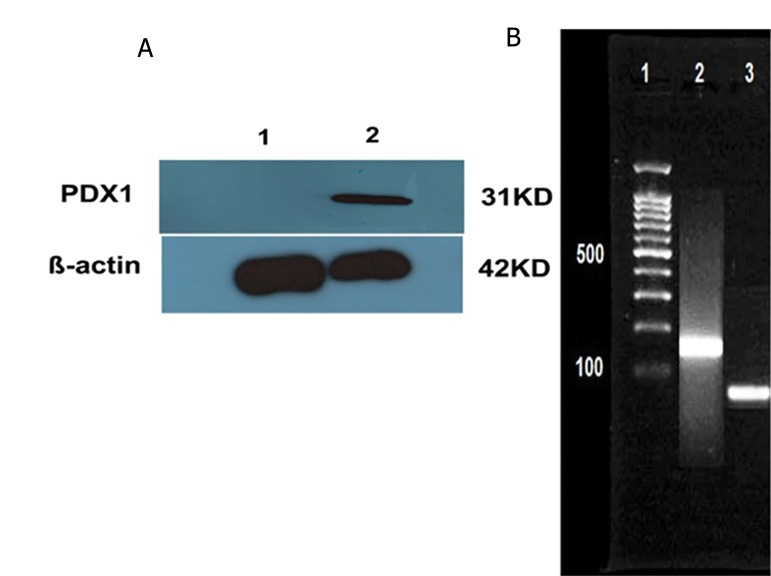 Fig.3