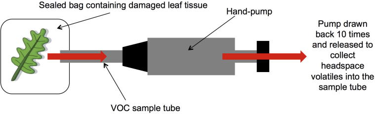 Supplementary Fig. S1