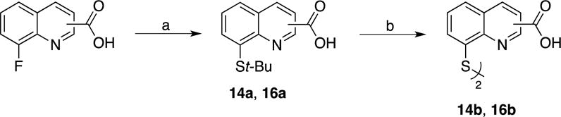 Scheme 6