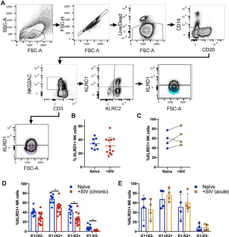 FIG 1