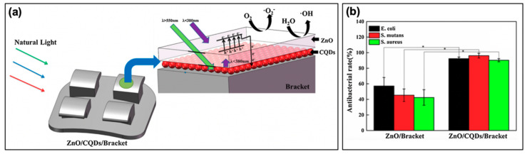 Figure 13