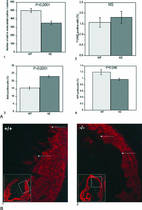 FIG. 8.