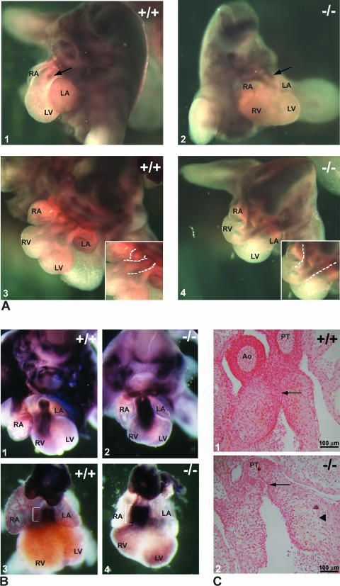 FIG. 7.