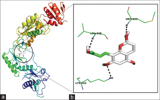 Figure 4