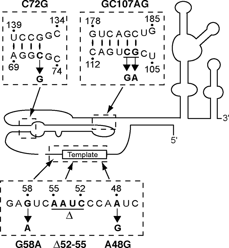 FIG. 1.