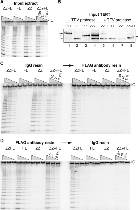 FIG. 6.