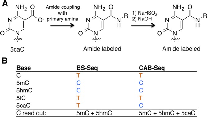 Figure 19