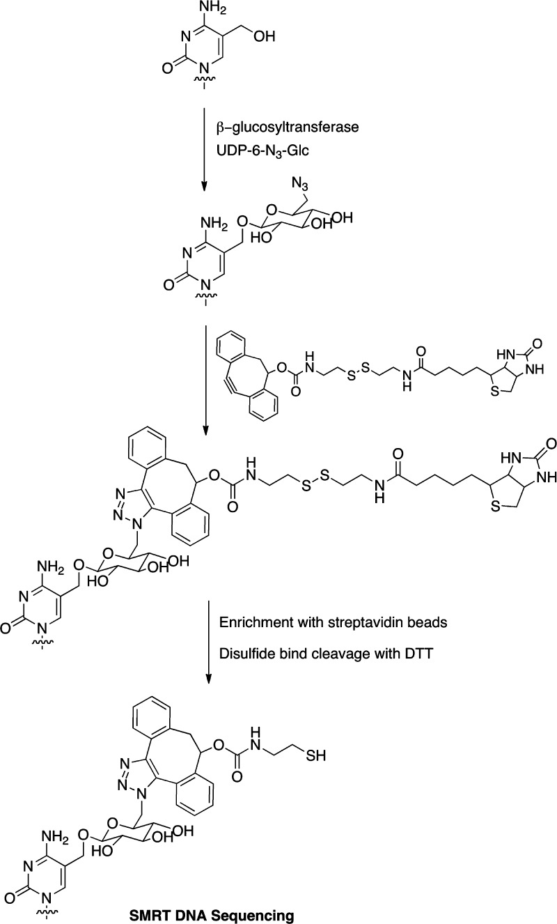 Figure 20