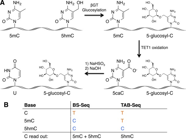 Figure 15