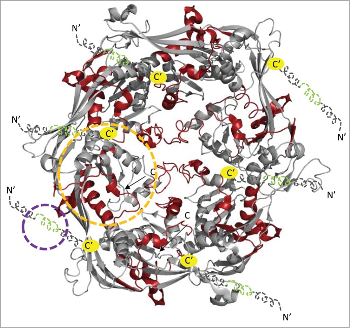 Figure 3.