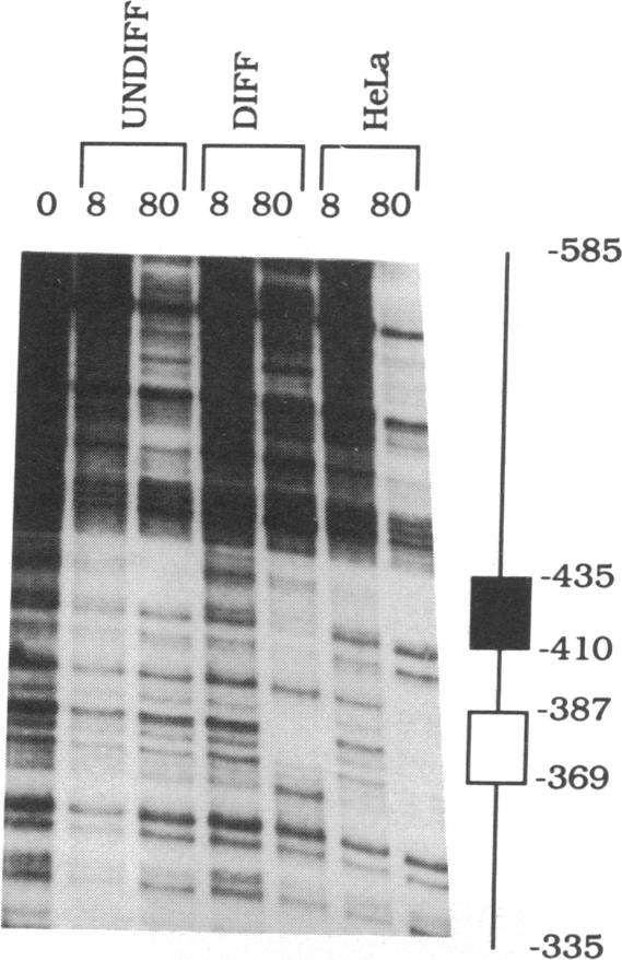 graphic file with name pnas01091-0057-a.jpg