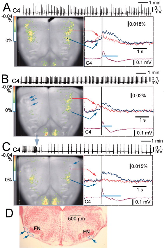 Fig. 6.