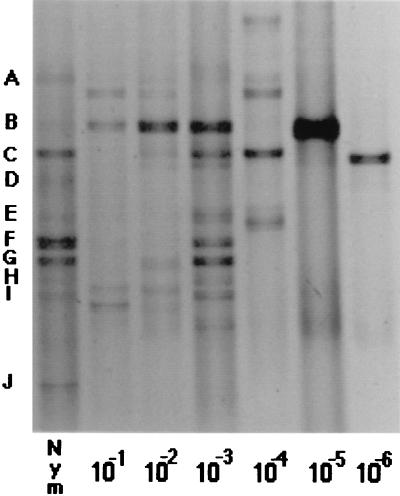 FIG. 1