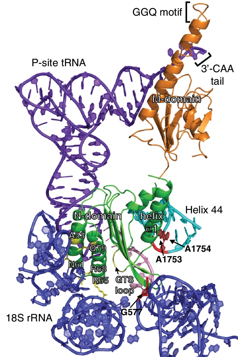 Figure 7.