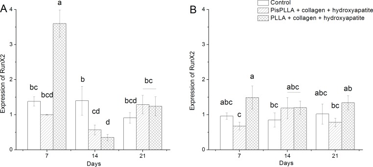 Fig 5