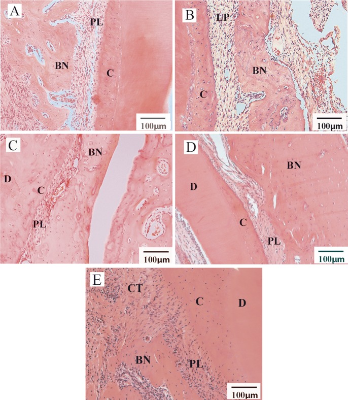 Fig 8