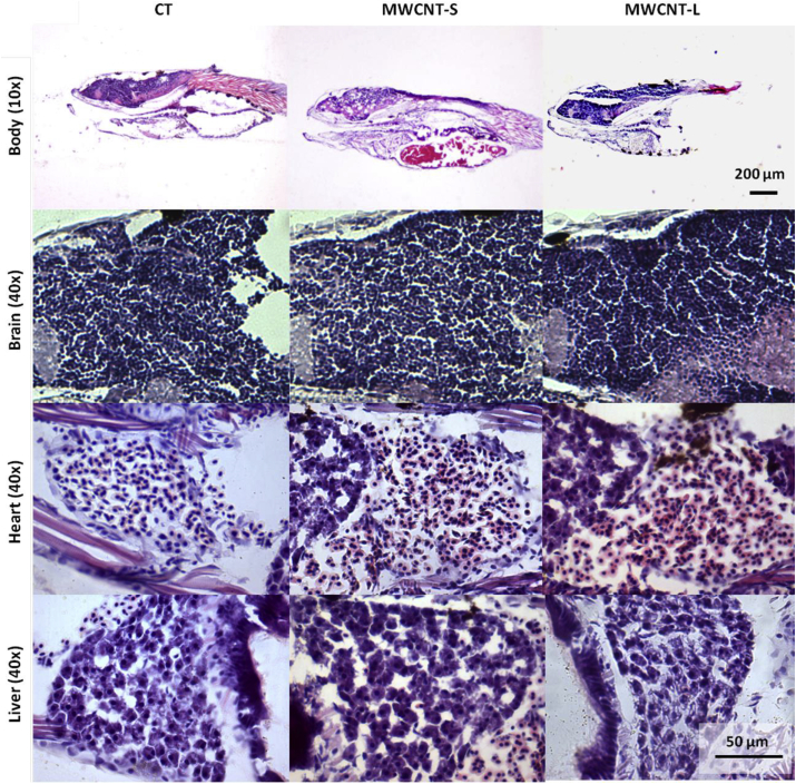 Fig. 7