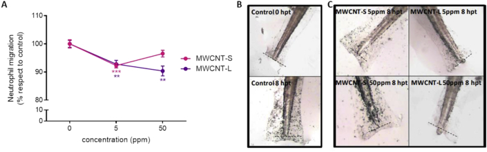 Fig. 8