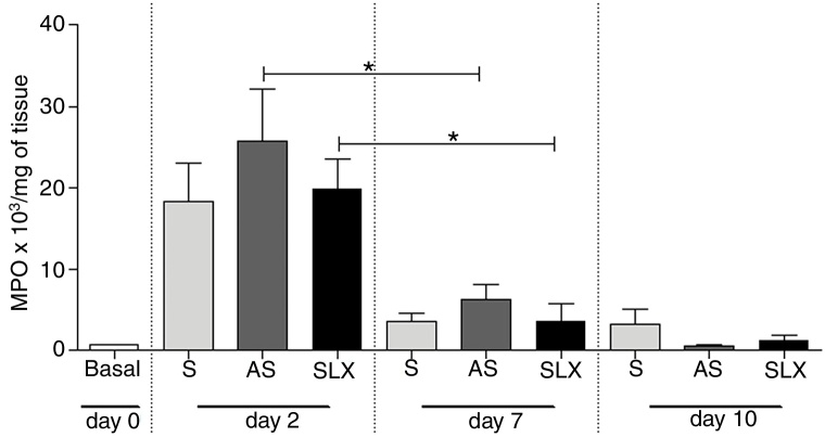 Figure 6