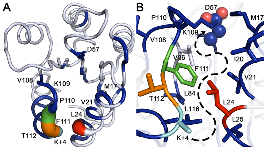 Figure 10.