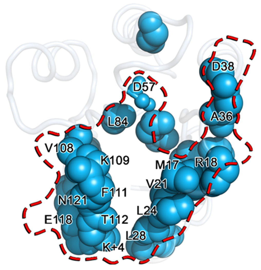 Figure 11.