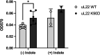 FIG 6