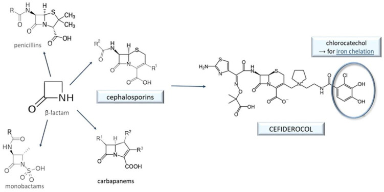 Figure 11