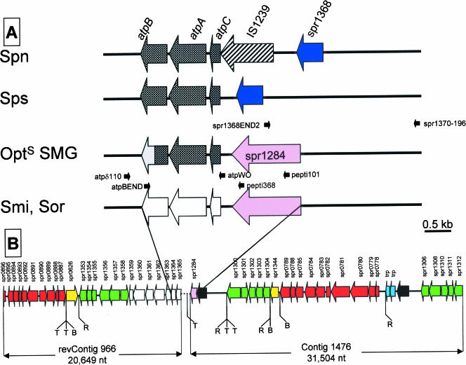 FIG. 4.