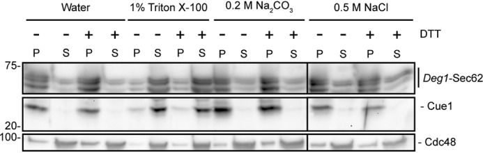 Figure 10.