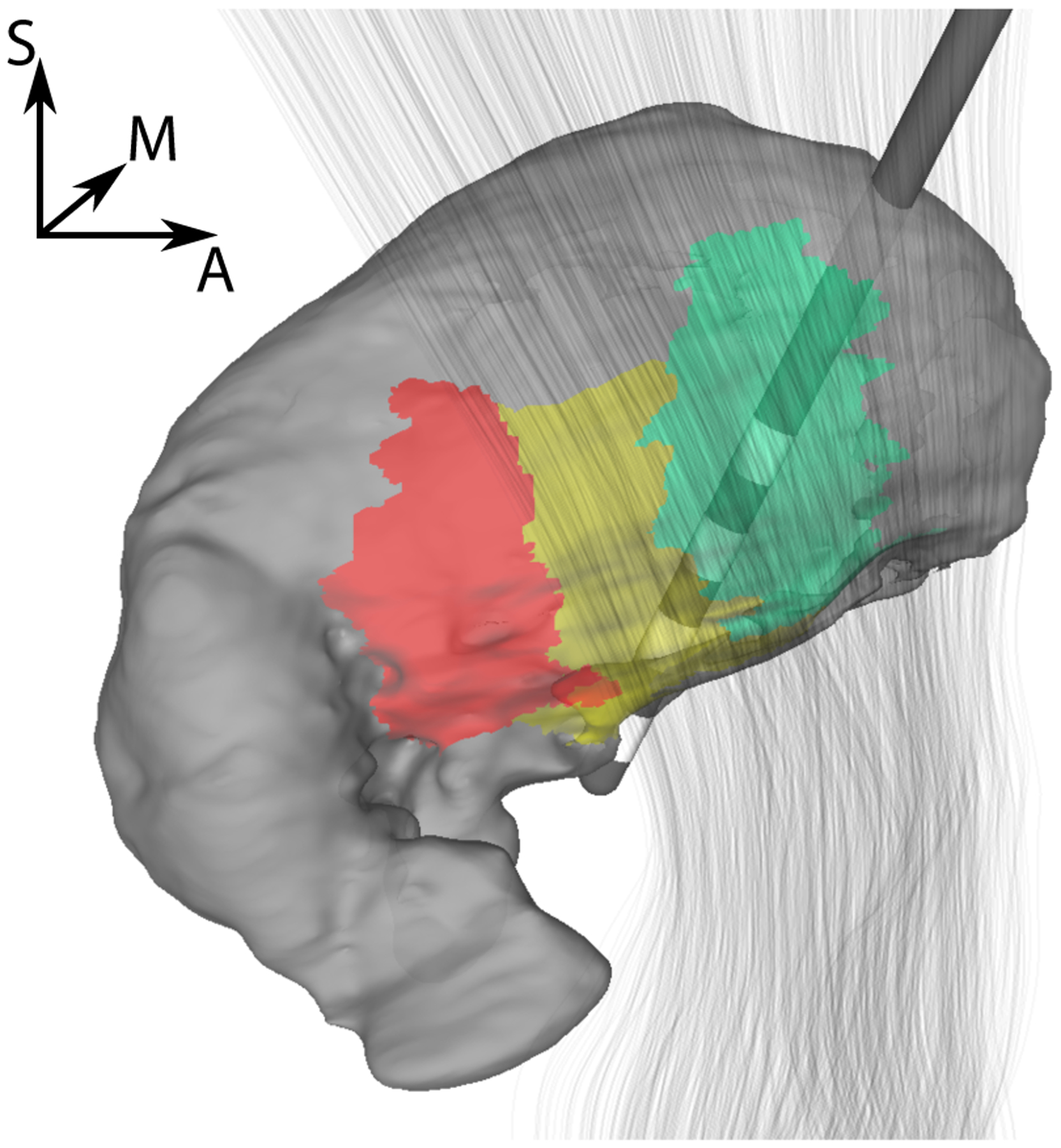 Figure 1: