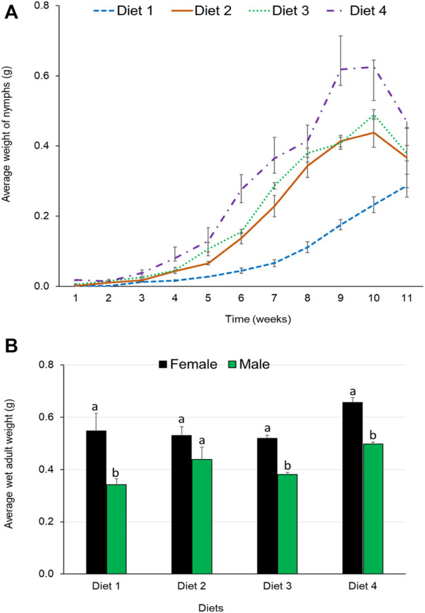 FIGURE 4