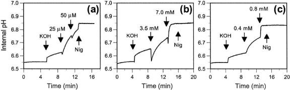 FIG. 5.