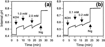 FIG. 6.