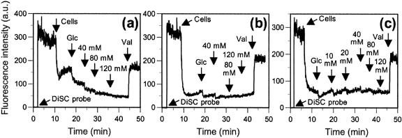 FIG. 2.