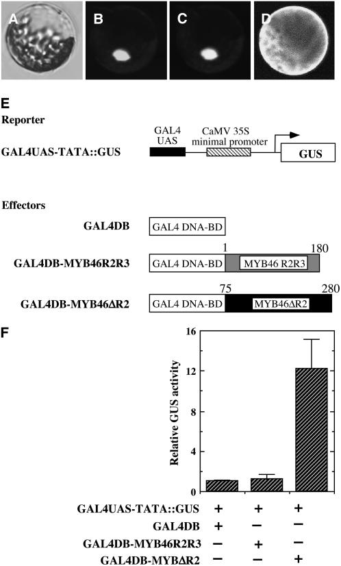 Figure 2.