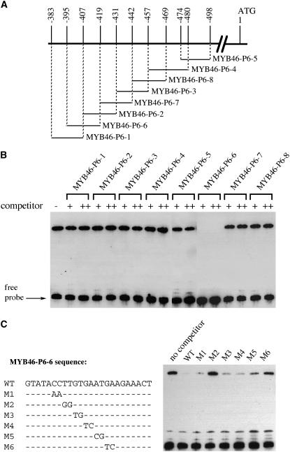 Figure 5.