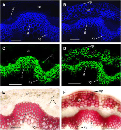 Figure 10.