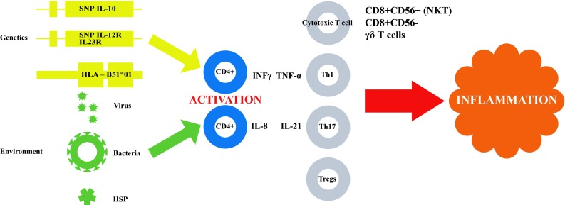 Fig. 1