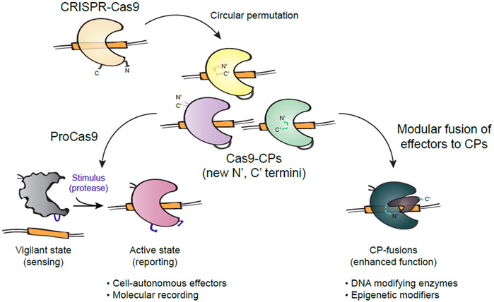 Figure 6.