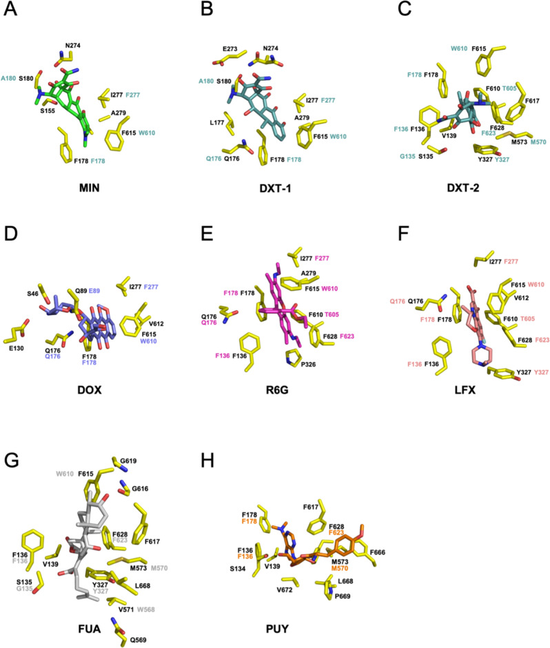 Fig. 4