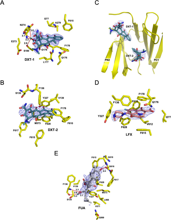 Fig. 3