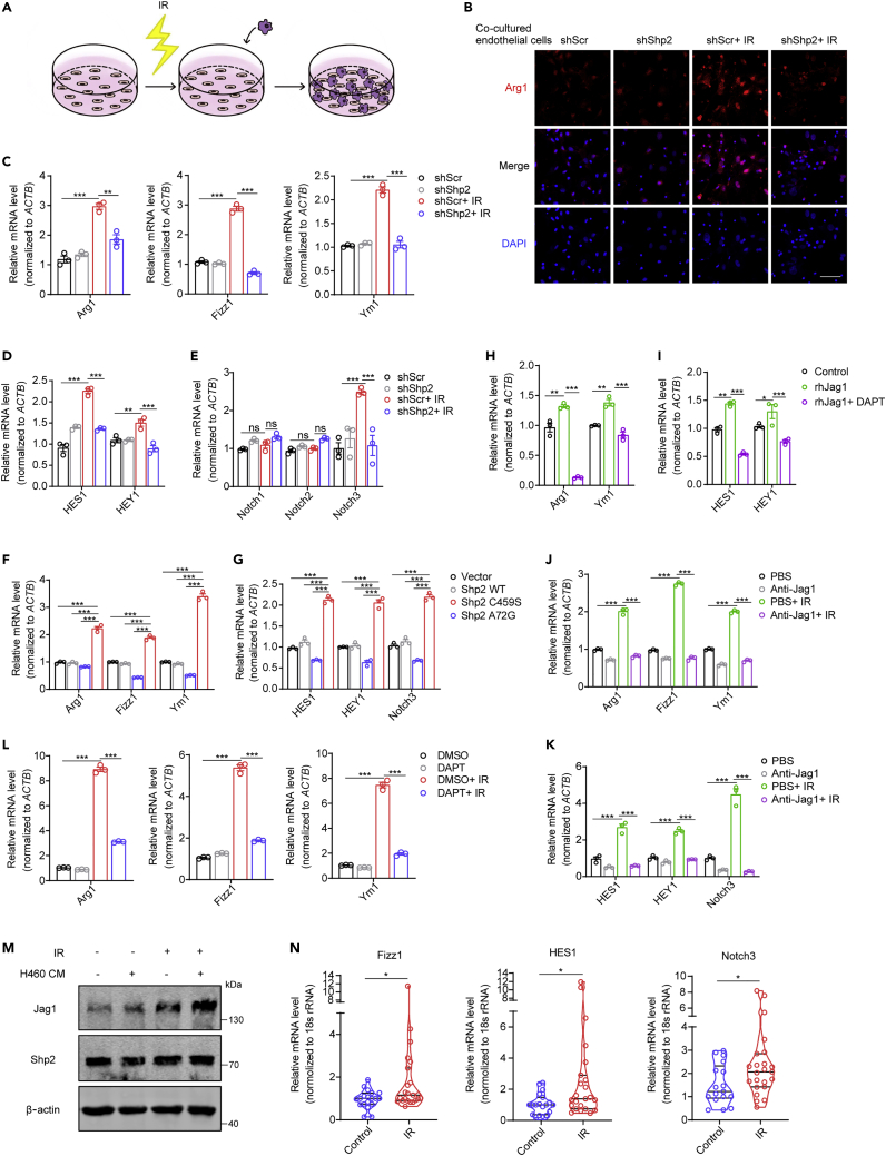 Figure 6