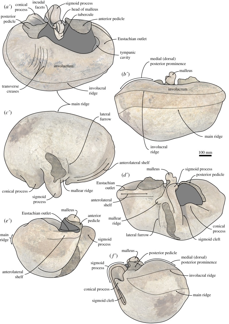 Figure 11.