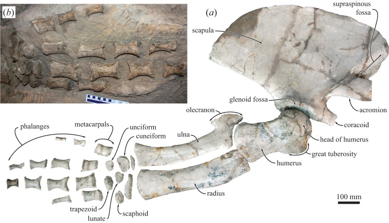 Figure 14.