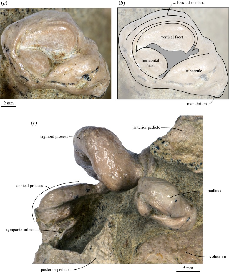 Figure 12.