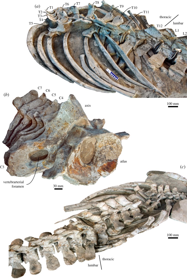 Figure 15.