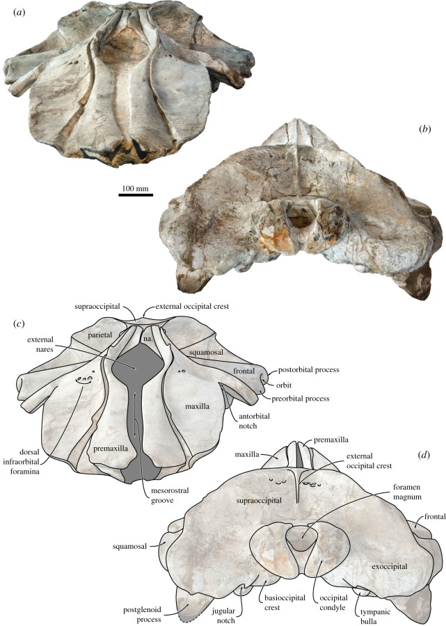 Figure 5.